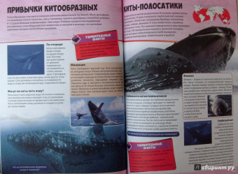 Большая книга животного мира