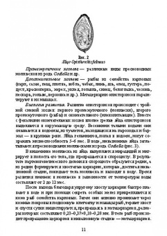 Латыпов, Тимербаева, Кириллов: Паразитарные болезни плотоядных животных. Учебное пособие