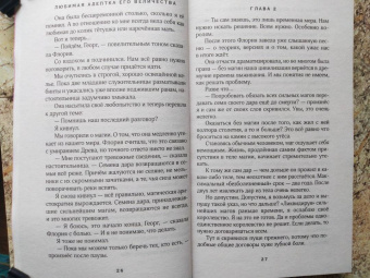 Гаврилова, Недотрога: Любимая адептка его величества. Книга 2