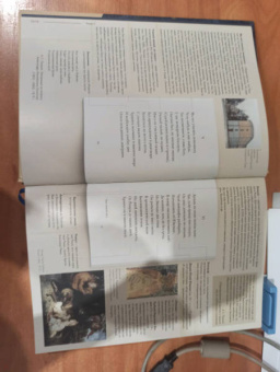 Пушкин, Рожников: Евгений Онегин. Подробный иллюстрированный комментарий