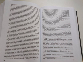 Виктор Ремизов: Вечная мерзлота. Роман