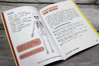 Кэти Стоукс: Книга о теле человека с полезными заданиями и упражнениями
