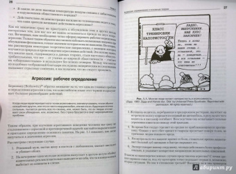 Бэрон, Ричардсон: Агрессия