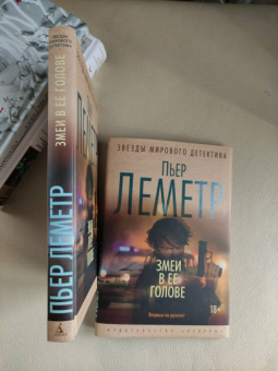 Пьер Леметр: Змеи в ее голове