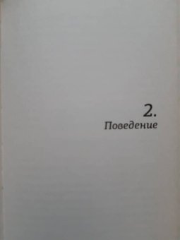 Рафаель Роузен: Гикнутая математика для тех, кто ничего в ней не понимает