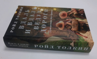 Ройд Толкин: Вдаль и вдаль ведут дороги. Путешествие двух братьев