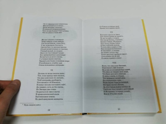 Пушкин, Лермонтов: Евгений Онегин. Герой нашего времени