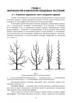 Кривко, Турчин, Фалынсков: Плодоводство. Учебник для СПО
