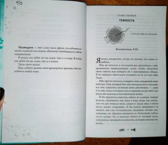Астрид Шольте: Исчезающая в бездне