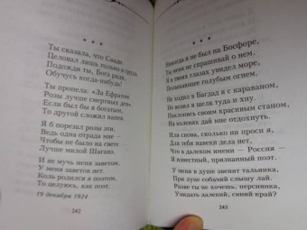 Сергей Есенин: Я московский озорной гуляка