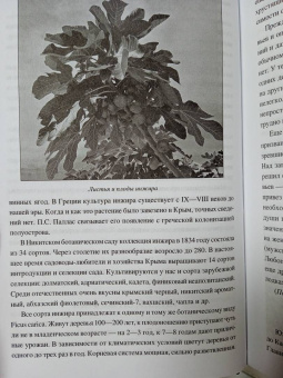 Николай Непомнящий: 100 великих загадок Крыма