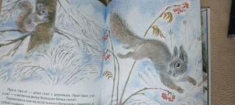 Наталья Чарушина-Капустина: Жил да был в лесу бельчонок