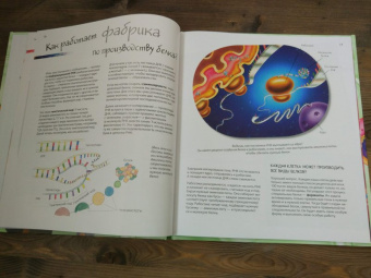 Боэрле, Ланда: Путешествие в мир клетки. Нескучная наука