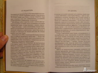Карлос Кастанеда: Искусство сновидения
