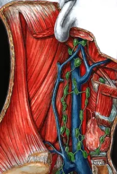 Маттео Кьяпаско: Хирургическая стоматология. Клинические протоколы