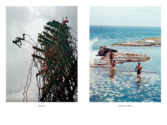 Дэвид Аттенборо: Путешествия на другую сторону света