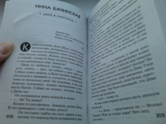 Устинова, Литвинова, Литвинов: Детектив в Новый год