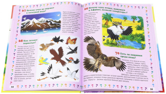 Тамара Скиба: Животный мир. Энциклопедия маленького почемучки