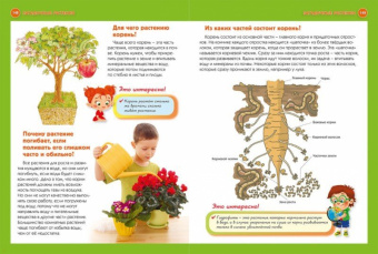 Тамара Скиба: Как? Что? Зачем? Почему? Новая детская энциклопедия