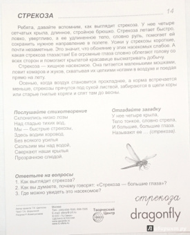 Цветкова, Шорыгина: Демонстрационные картинки "Насекомые" (16 картинок)