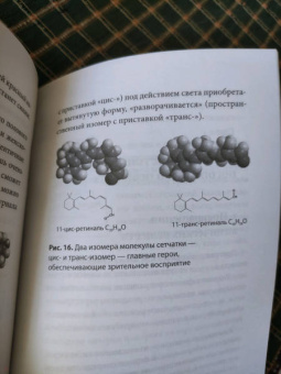 Бальцани, Вентури: Химия! Прочитать и дописать книгу природы