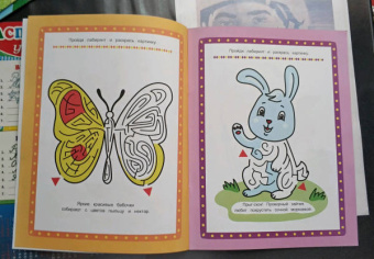 Цветной луг. Книжка-раскраска