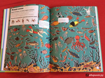 Софи Дову: Моя книга о животных