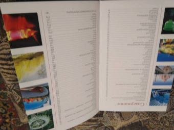 Илья Леенсон: Химические элементы. Популярный иллюстрированный гид