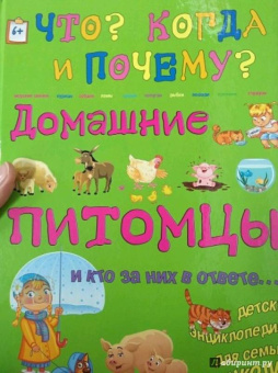 Ольга Соколова: Домашние питомцы и кто за них в ответе…