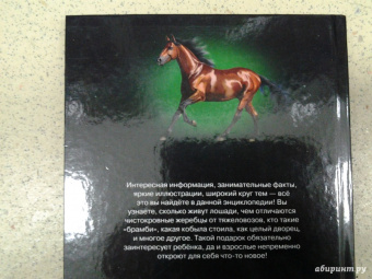 Леся Калугина: Хочу знать. Лошади