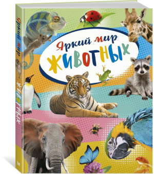 Кристин Балле: Яркий мир животных