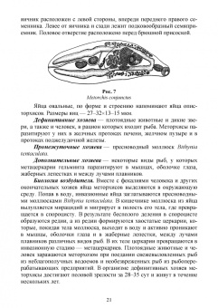 Латыпов, Тимербаева, Кириллов: Паразитарные болезни плотоядных животных. Учебное пособие для вузов