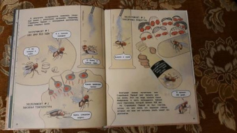Чжэ Квон: Секрет плодовых мушек