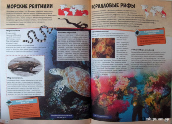 Большая книга животного мира