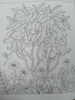 Мария Тролле: Цветочная магия