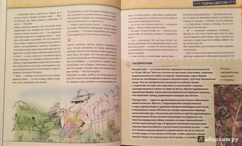 Валентина Мальцева: Открываем тайны леса
