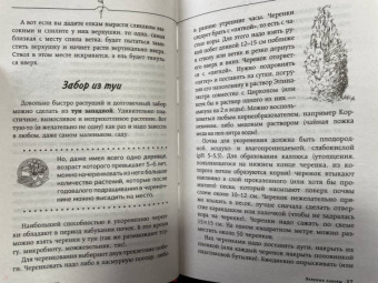 Галина Кизима: Малоуходный цветник. Особенности выращивания своими руками
