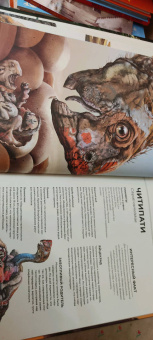 Раймунд Фрей: Динозавры в натуральную величину