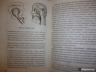 Чопра, Танзи: Совершенный мозг