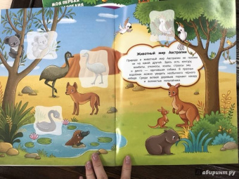 Как живет лес. Книжка с наклейками