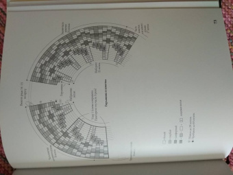 Японская вязаная одежда для кукол. Большая коллекция стильных нарядов для кукол ростом 20-30 см