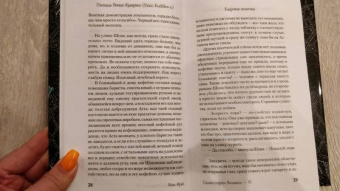 Макс Фрай: Сказки старого Вильнюса VI