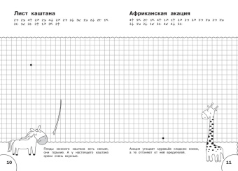 Вениамин Шехтман: Графические диктанты. Растения и грибы