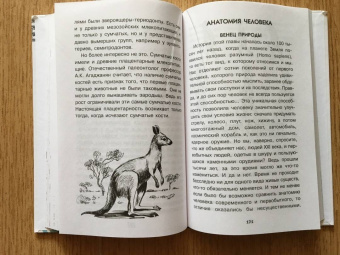 Алексей Пахневич: Увлекательная анатомия