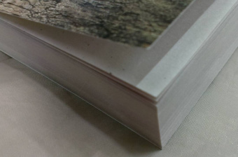 Наталья Александрова: Листы каменной книги