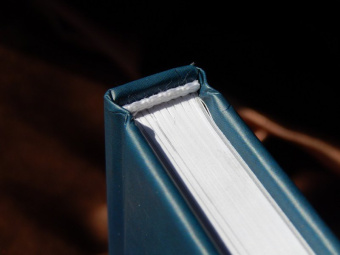 Брайан О`Мэлли: Потерянная