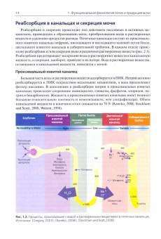 Синк, Вейнштейн: Общий анализ мочи в ветеринарной медицине