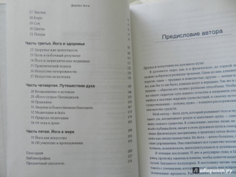 Айенгар Беллур Кришнамачар Сундараджа: Дерево йоги. Ежедневная практика