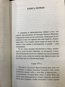 Иоганн Гете: Страдания юного Вертера. Сборник