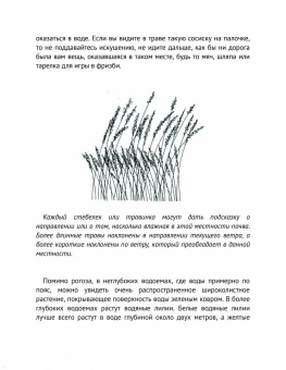 Тристан Гули: Компас внутри. Как не заблудиться в лесу, выследить животных, предсказать погоду